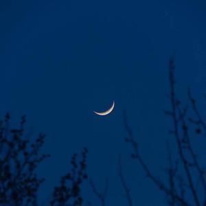 久草视频免费播放
